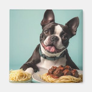 Imán El Terrier De Boston Con Spaghetti Bolognaise
