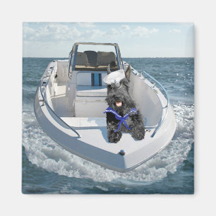 Imán El terror escocés en el barco