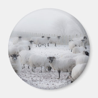 Imán El tiempo de Baad