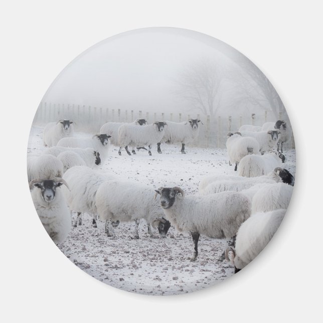 Imán El tiempo de Baad (Frente)