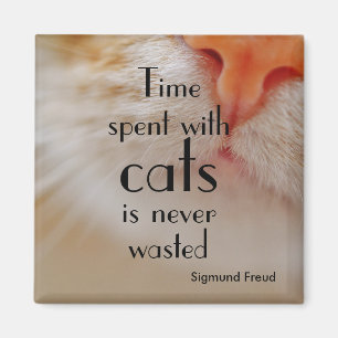 Imán El tiempo pasado con los gatos nunca es nariz