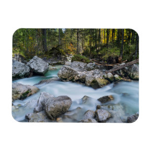 Imán El torrente Ramsauer Ache