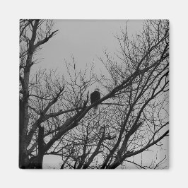 Imán El varón que toma el reloj