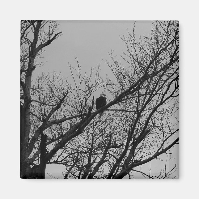 Imán El varón que toma el reloj (Frente)