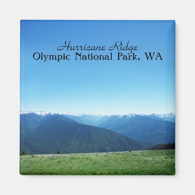 Imán El venado y los Juegos Olímpicos (Frente)