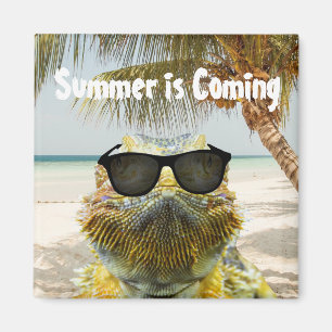 Imán El verano está llegando