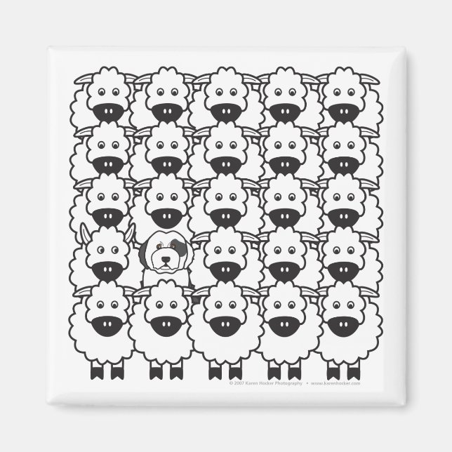 Imán El viejo perro pastor inglés en la oveja (Frente)