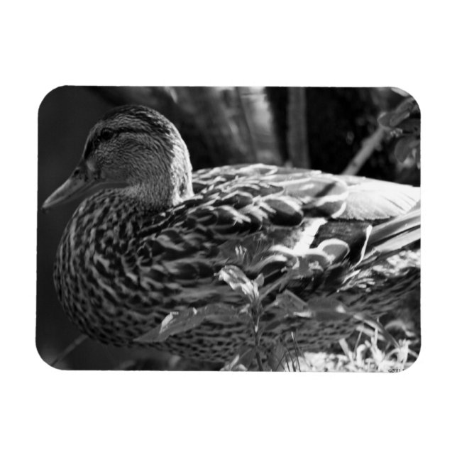 Imán El vigilante (Horizontal)