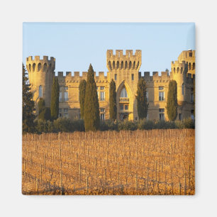 Imán El viñedo con vides syrah y el castillo