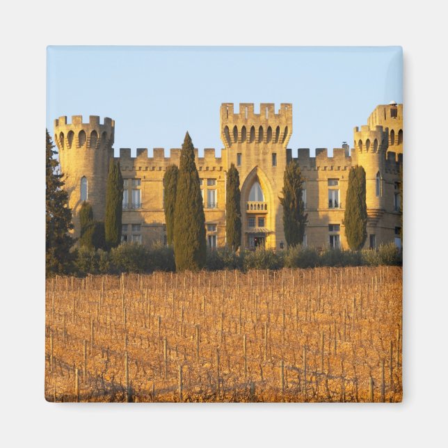 Imán El viñedo con vides syrah y el castillo (Frente)
