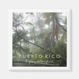 Imán El yunque, Puerto Rico