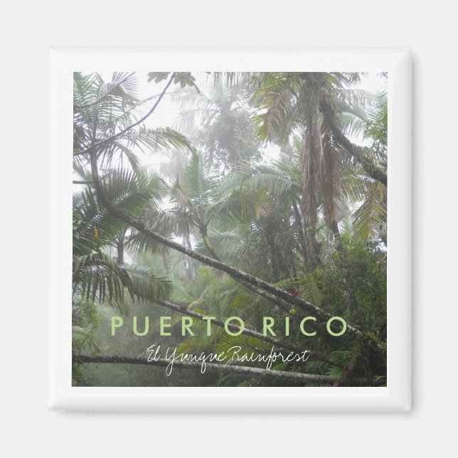 Imán El yunque, Puerto Rico (Frente)