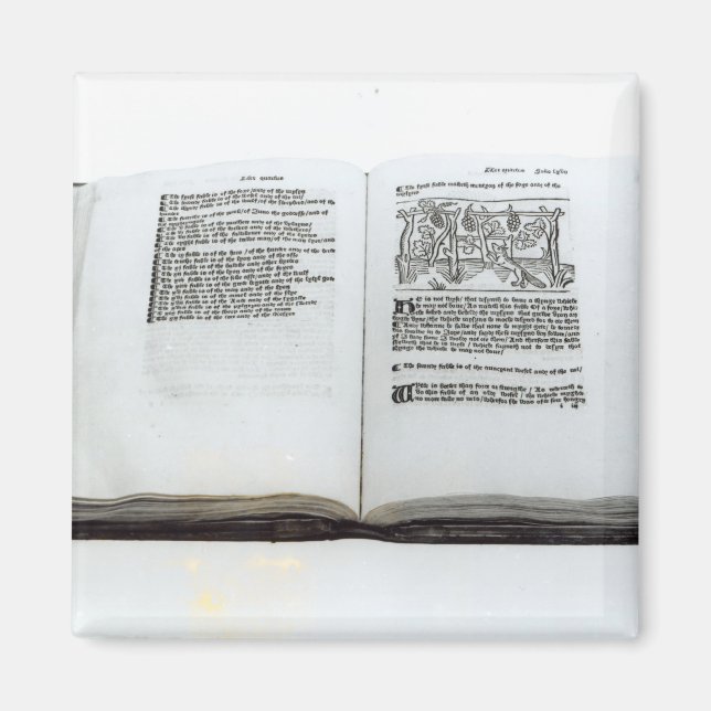 Imán El zorro y las uvas (Frente)