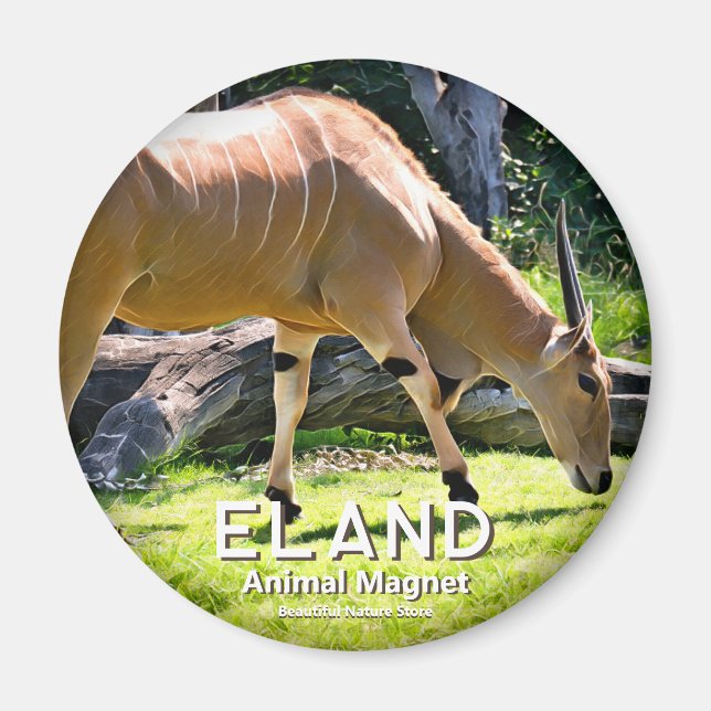 Imán Eland (Frente)