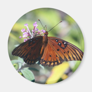 Imán Elección de las madres