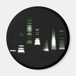 Imán Electroforesis de gel de ADN Mimbre