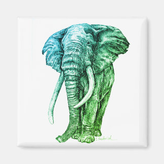 Imán Elefante