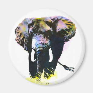 Imán Elefante