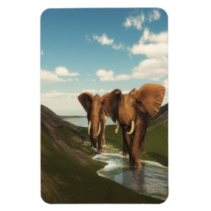 Imán Elefante
