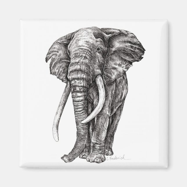 Imán Elefante (Frente)