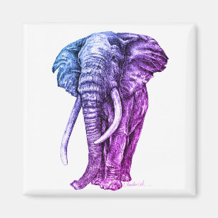 Imán Elefante