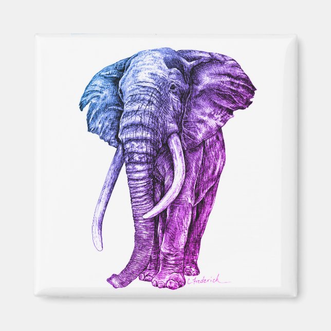 Imán Elefante (Frente)