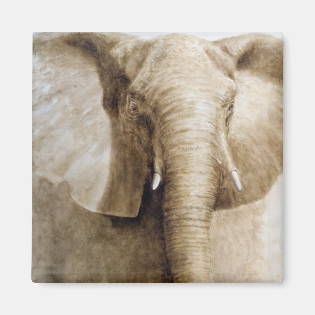 Imán Elefante 2004 (Frente)