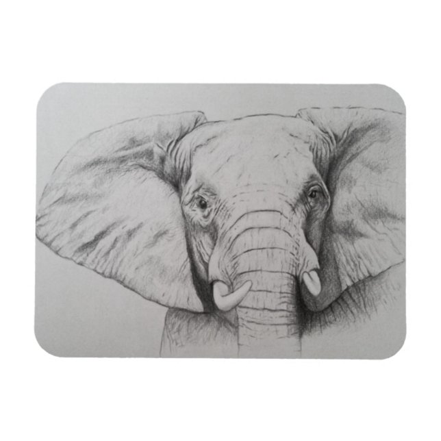 Imán Elefante 2011 (Horizontal)