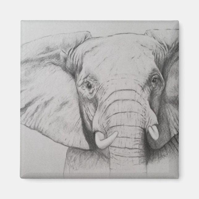 Imán Elefante 2011 (Frente)