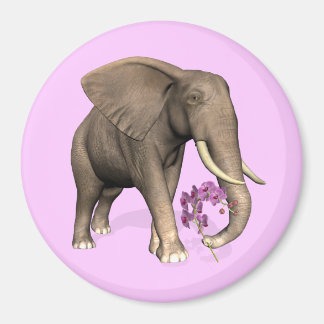 Imán Elefante Con Orquídea Rosa