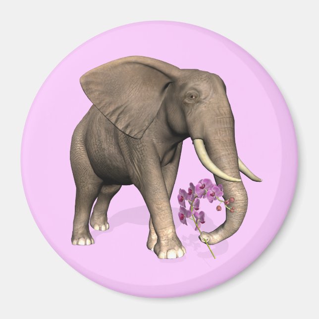 Imán Elefante Con Orquídea Rosa (Frente)