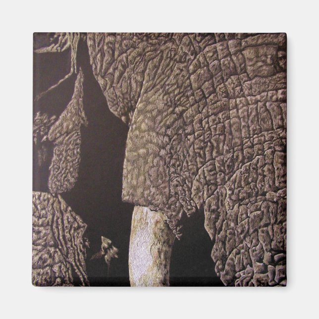 Imán Elefante de toro (Frente)