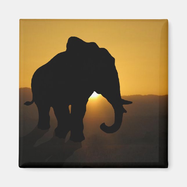 Imán Elefante de toro (Frente)