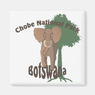 Imán Elefante del Parque Nacional de Chobe