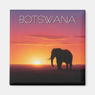 Imán Elefante en Botsuana por el atardecer