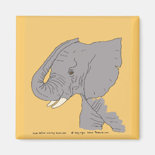 Imán Elefante joven