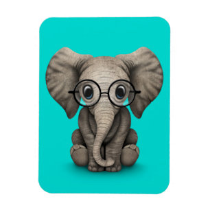 Imán Elefante lindo bebé con lentes de lectura azul
