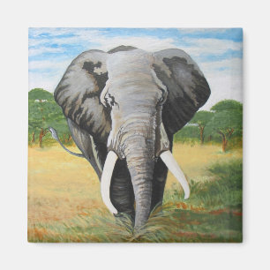 Imán Elefante salvaje