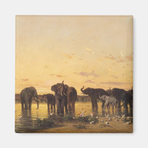 Imán Elefantes africanos