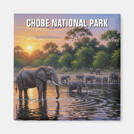 Imán Elefantes en el Parque Nacional Chobe Botsuana
