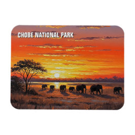 Imán Elefantes en el Parque Nacional Chobe Botsuana