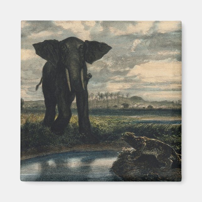 Imán Elefantes y una pantera en el desierto indio (Frente)