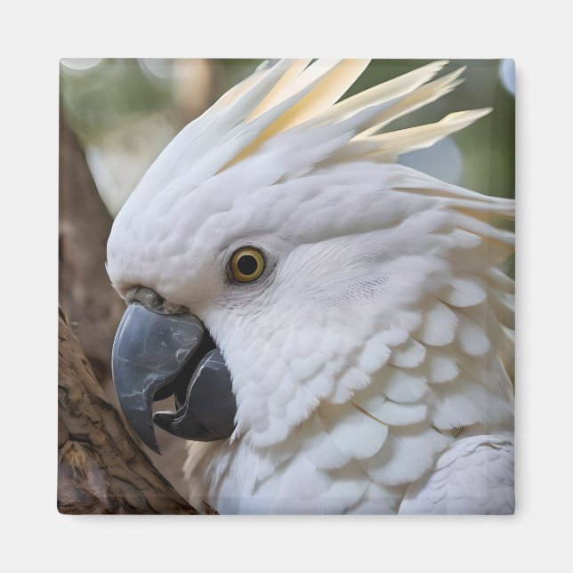 Imán Elegancia en blanco: el majestuoso Cockatoo austra (Frente)