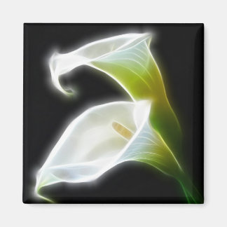 Imán Elegante Calla Lily Flores 8 Moderno
