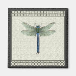 Imán Elegante Dragonfly azul