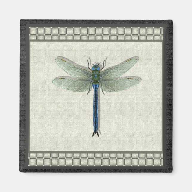 Imán Elegante Dragonfly azul (Frente)