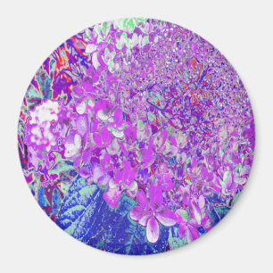 Imán Elegante hidrangea liga púrpura y azul