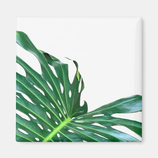 Imán Elegante hoja de hoja de palma selva tropical selv (Frente)
