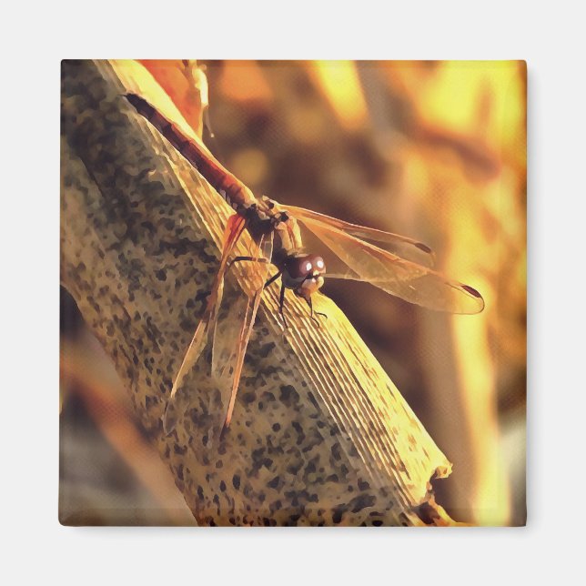 Imán Elegante Red Darter Dragonfly Inspire Art (Frente)