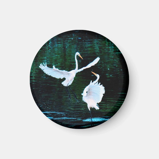 Imán Elegantes Egredientes De Baile (Frente)